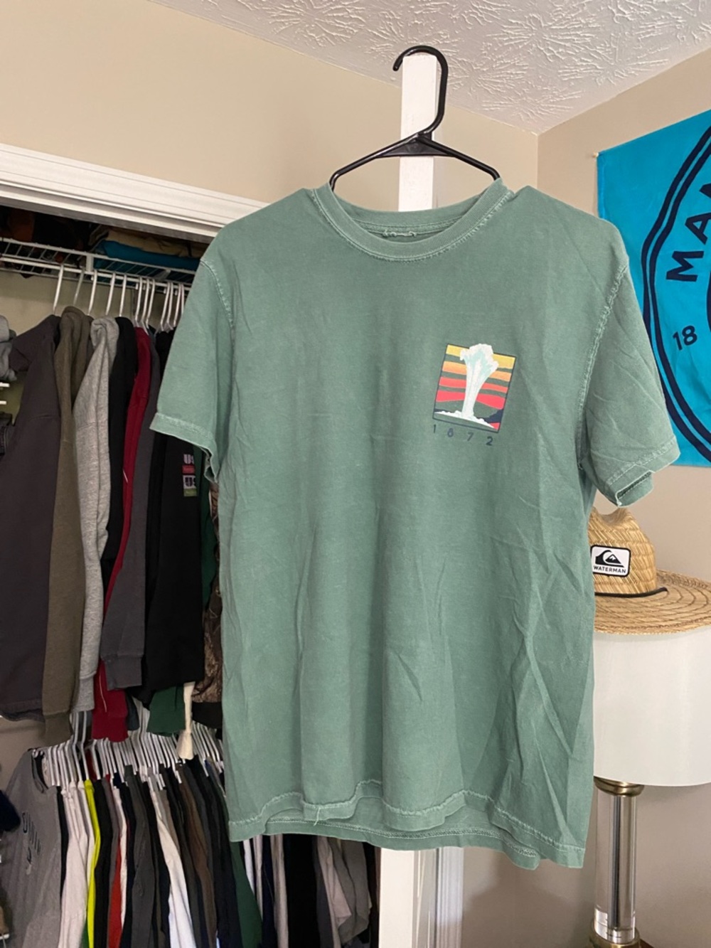 Men's Sage Green Short-Sleeve Graphic Tee